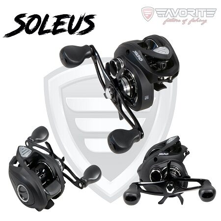Favorite Soleus Right Hand Casting Reel
