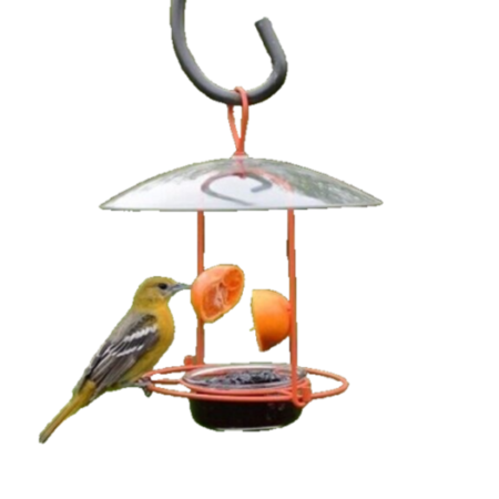 Meijer - Wire Oriole Feeder