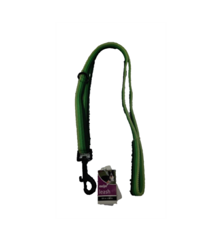 Meijer 60" Pet Leash - Green
