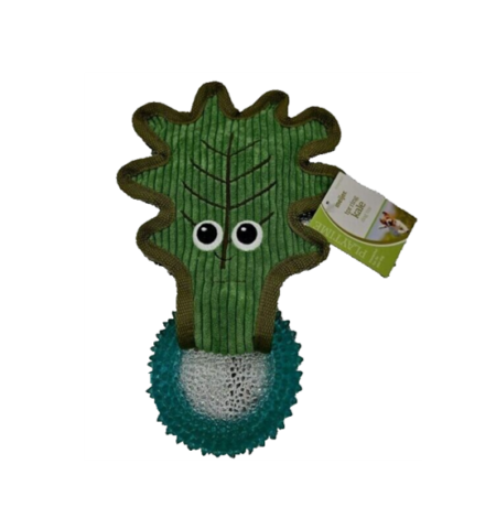 Kale TPR Ring Dog Toy