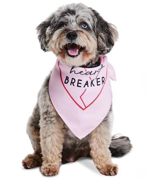 Collection Xiix Heart Breaker Graphic Pet Bandana - Pink