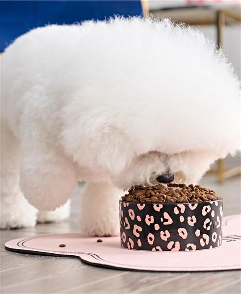 Juicy Couture "Give Me Treats" Ceramic Pet Bowl Set - Image 3