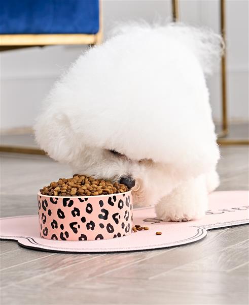 Juicy Couture "Give Me Treats" Ceramic Pet Bowl Set - Image 7